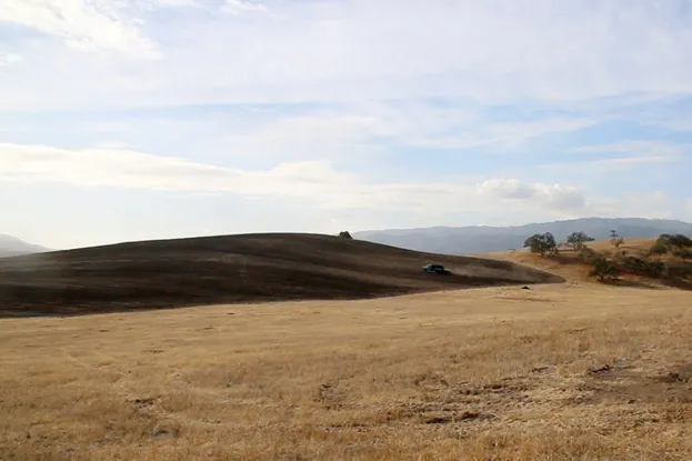 Photo courtesy Elaine Patarini, Paicines Ranch