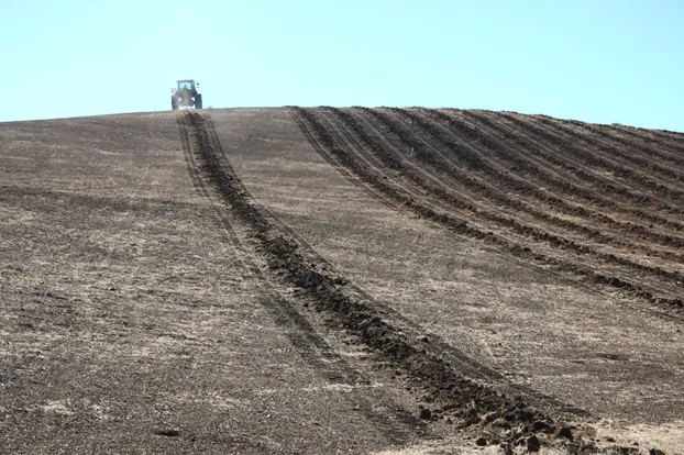 Photo courtesy Kelly Mulville, Paicines Ranch