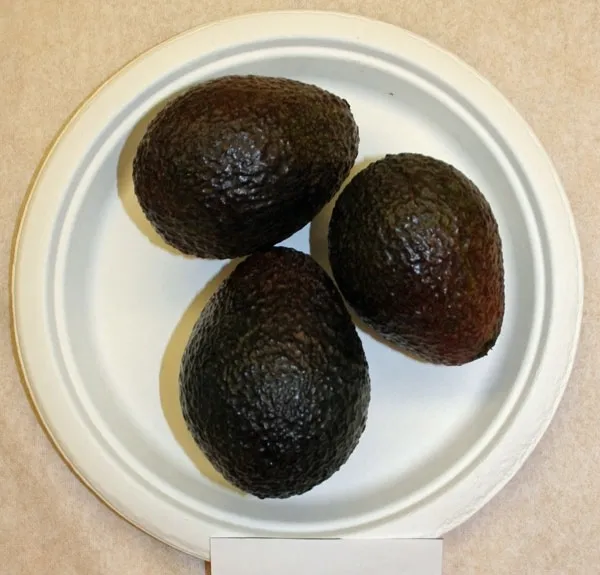unnamed avocado variety
