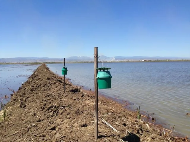 18198192 1810972375609509 5652932469426596616 n