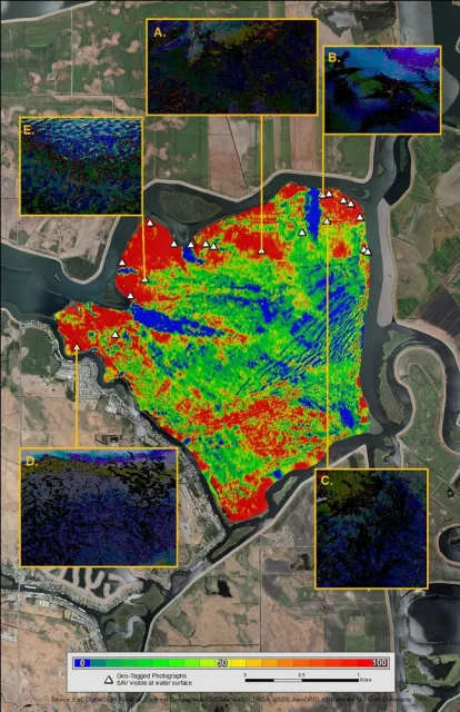 Figure 5. Geotagged photographs of “topped-out” SAV corresponding with areas of high biovolume (red) in the raster image. SAV species in this figure include: A. coontail (Ceratophyllum demersum), B. sago pondweed (Stuckenia pectinate), C, D, and E. Brazilian waterweed (Egeria densa.
