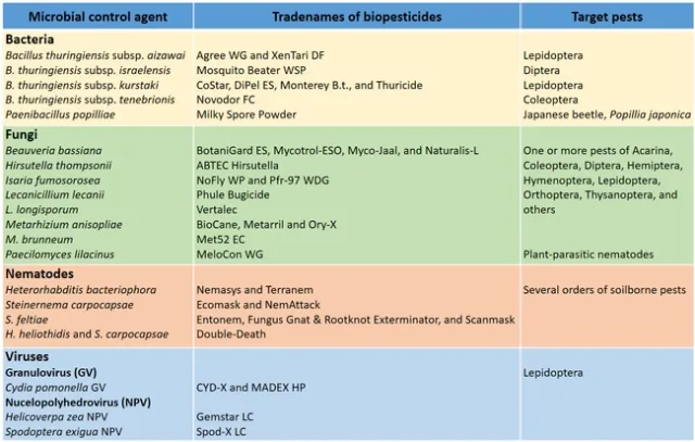 Entomopathogen commercial products