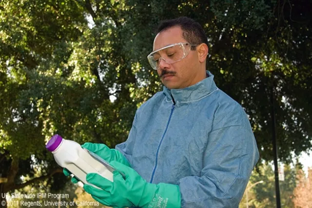 Maintenance gardener reading pesticide label.