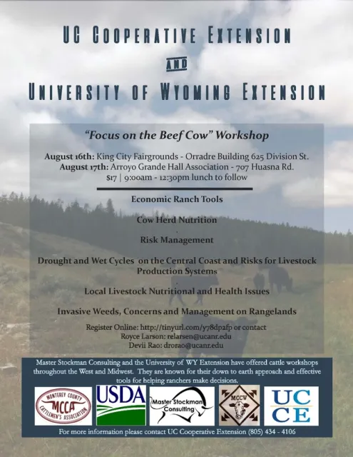 Focus on the Beef Cow Flyer - PDF