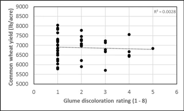 Glume Discoloration & Yield, Kings Co 2017