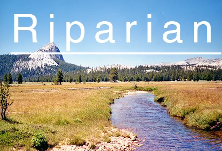 Riparian_button