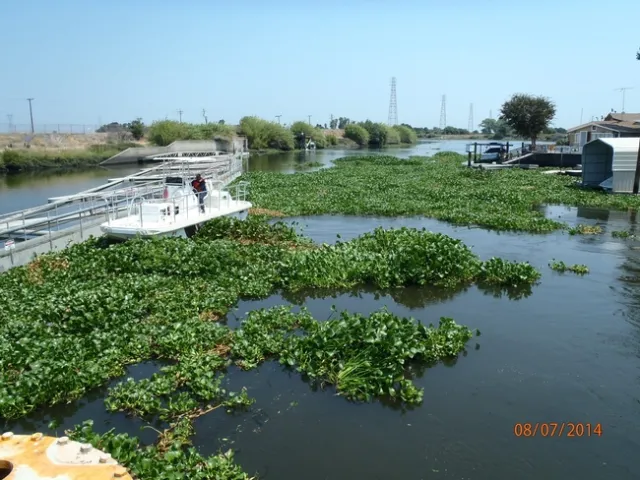 Debris screens at the Tracy Fish Facility