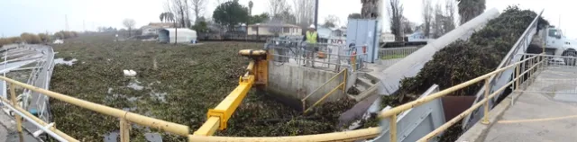 Mechanical removal of waterhyacinth near the Tracy Fish Facility