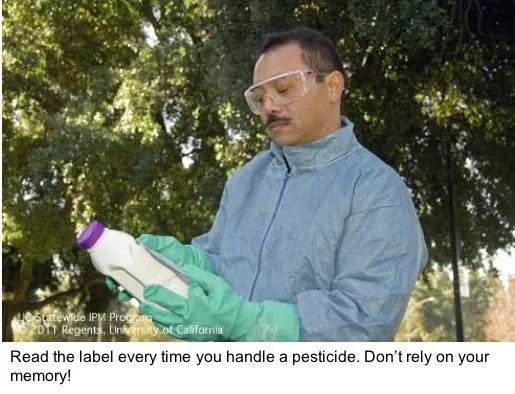 Pestcide safety