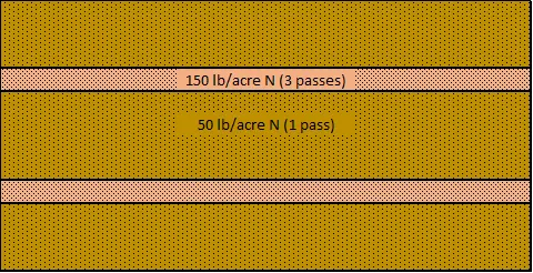 Preplant N Application