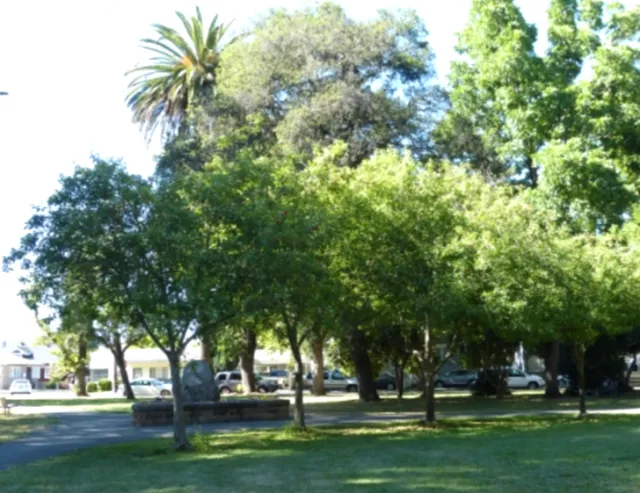 Dolgo Crabapple photo