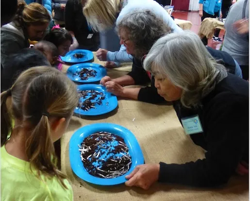 Farm Day – Linda Varonin