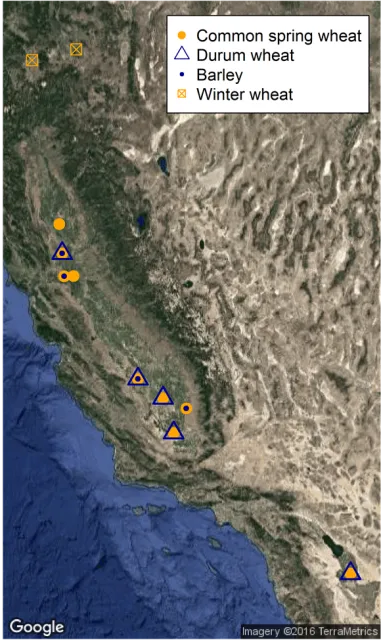 Fall planted sites 2016 17