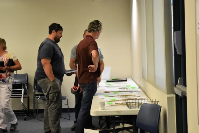 Viewing weed examples