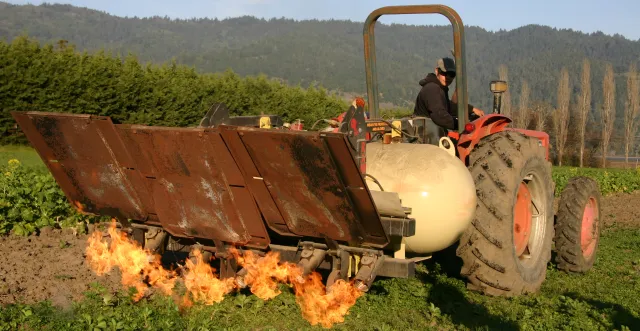 torching_cropped horizontal