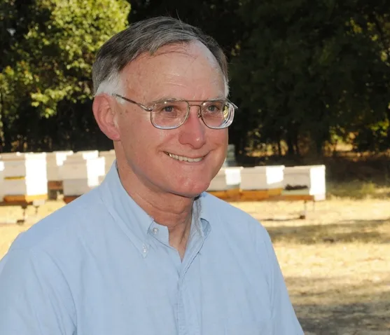 Eric Mussen in the apiary of the Harry H. Laidlaw Jr. Honey Bee Research Facility. (Photo by Kathy Keatley Garvey)