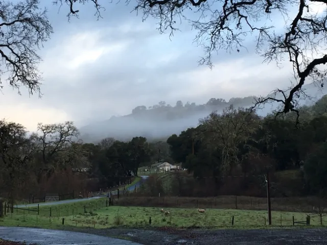 Deb's Hopland, CA photo rivals that of the great's