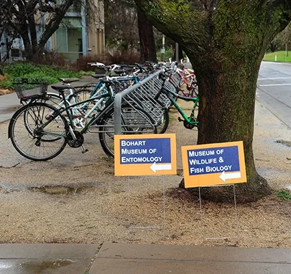 Signs point the way. (Photo by Kathy Keatley Garvey)