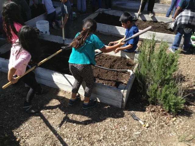 Take students out to the garden as a special reward.