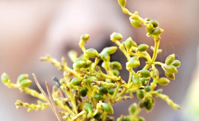 Thompson-Rivers-University-shared-via-Flickr-Creative-Commons3-768x466