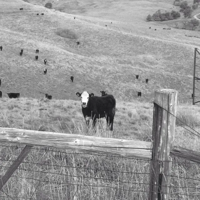 February 2015 at SFREC - a dry start to the year.