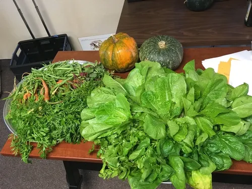 harvest plate