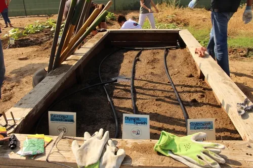 planted bed