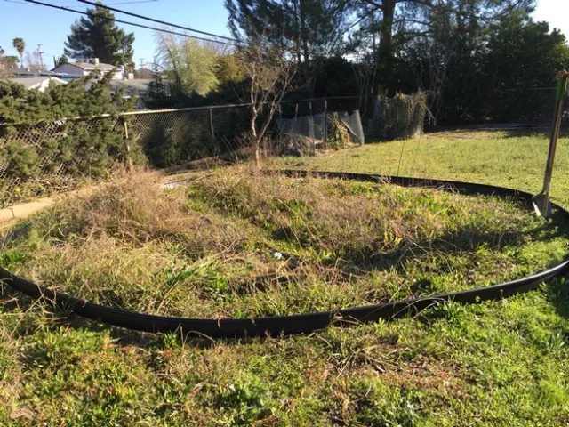 my plate garden pre