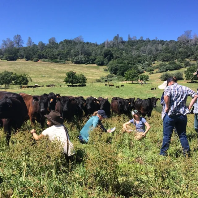 2016-04-30 10.53.58-2