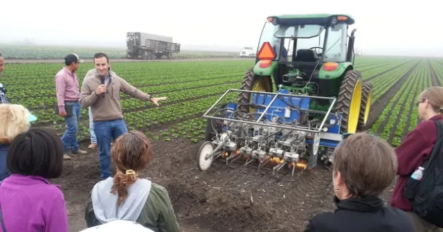 Robovator directed by little computers that scan lettuce rows cuts weeds. Photo taken by Petr Kosina during 2016 specialty crops tour.