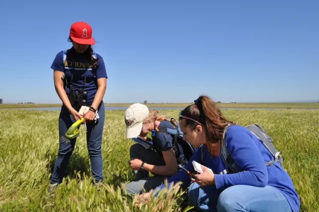 UC Merced Vernal Pools and Grasslands Reserve naturalists monitor the rangeland.
