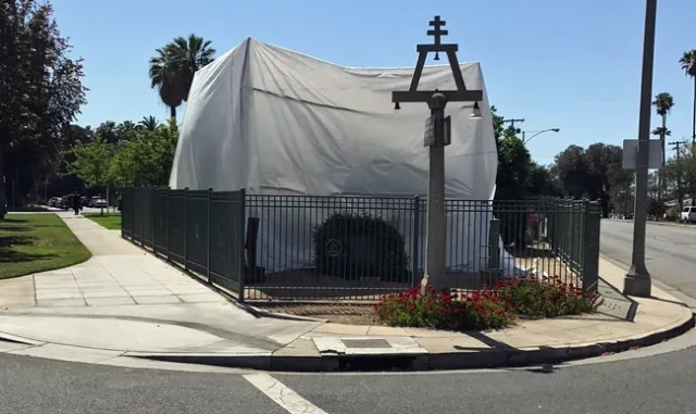 The Riverside 'Parent Navel' orange tree is covered with a large white tent to protect it from Asian citrus psyllid, an invasive pest that can spread the devastating huanglongbing disease of citrus.