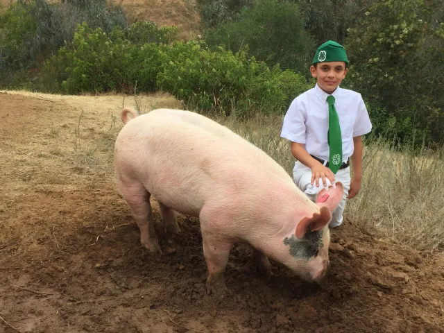 40083962500_1e2cecd699_o