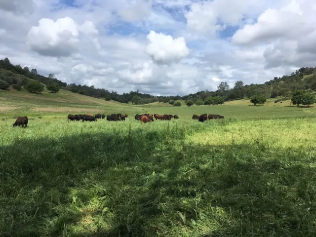 2018 grazing school pic2