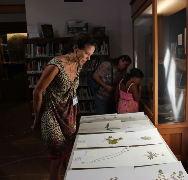 Lisa Hillman, Pikyav Field Institute program manager for the Karuk Tribe, at the Karuk Herbarium. PHOTO: Bari Talley