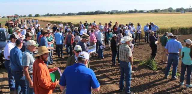 2018 Davis Field Day 1