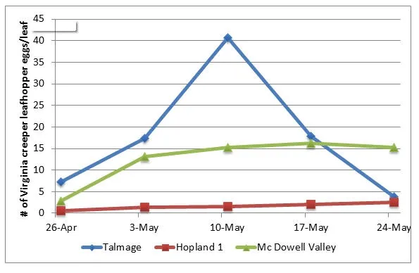 VCLH eggs per leaf 5 24