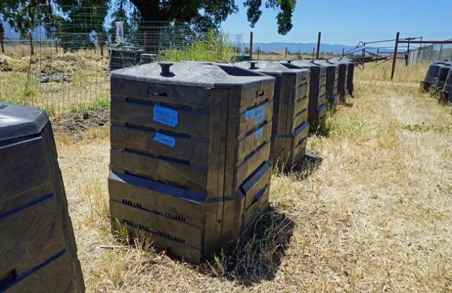 Compost bins at the UC Compost Education Program demonstration site.