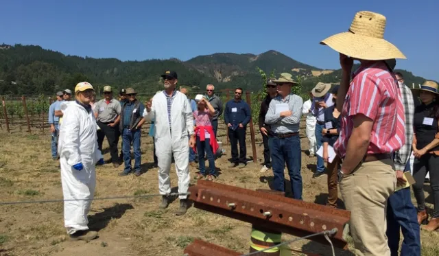 To test spray uniformity, use wettable powder or water sensitive paper on vines, recommend UC Cooperative Extension advisors Lynn Wunderlich and Franz Niederholzer.