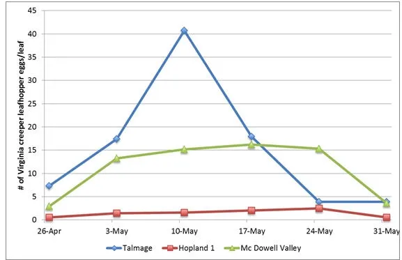 VCLH eggs per leaf 5 31