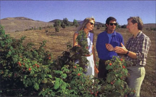 Small farm advisor Mark Gaskell, right, coaches Jennifer and Chuck Lenet on acidifying the soil and maintaining adequate drainage in 1999