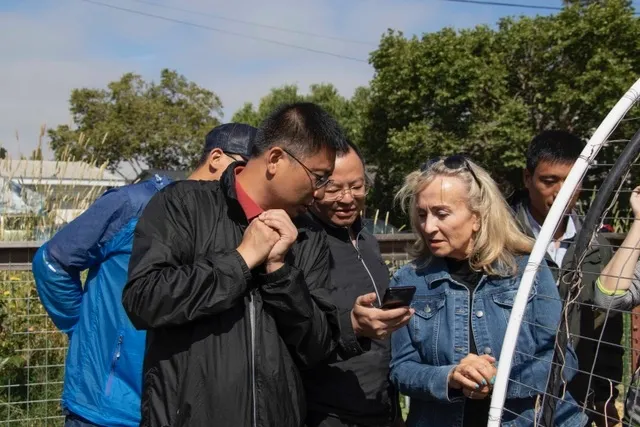 Stephanie Larson, second from right, discussed food access, 4-H youth development, natural resources and wine grapes in Sonoma County with the Chinese academics.