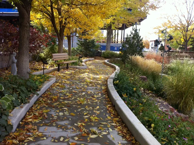 Universal Design - tolerance for error (Craig Hospital)