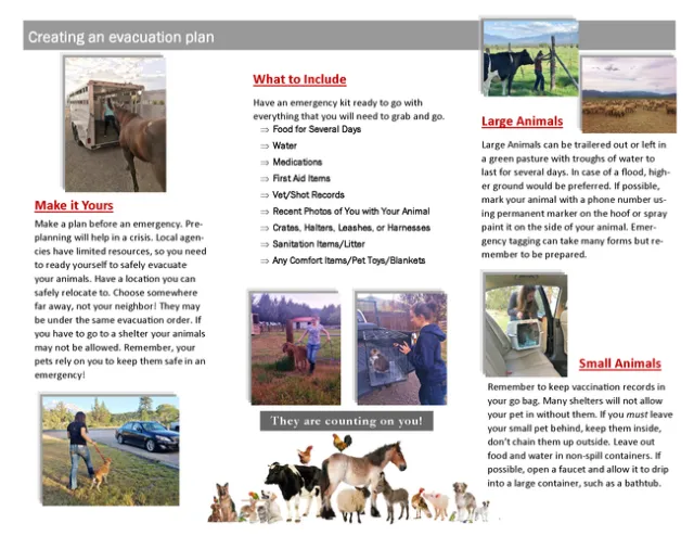 PEEP Brochure Page 2