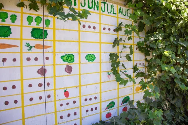 An important part of gardening is planning for activities in the garden for future months. When the temperatures are too hot to spend outdoors, you can always start to develop a garden or planting plan. Photo credit: Melissa Womack