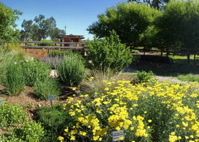 Plant grouping by similar water needs, L. Kling