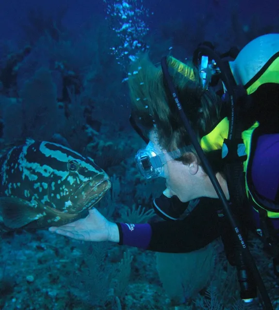 Ben, left, was one of a pair of groupers that Peggy named Ben and Jerry.