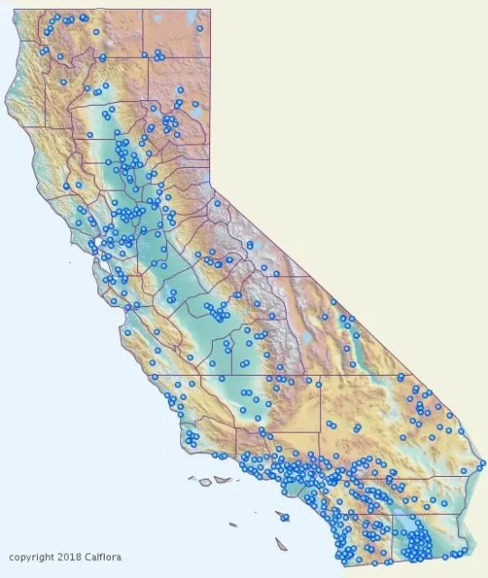 CalFlora map