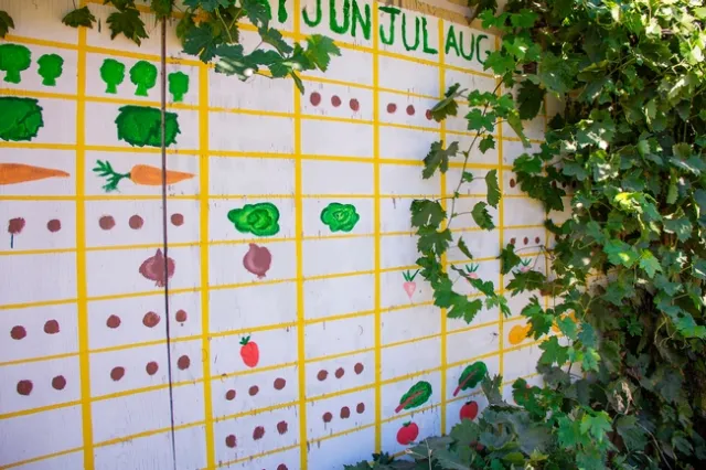 An important part of gardening is planning for activities in the garden for future months. When the temperatures are too hot to spend outdoors, you can always start to develop a garden or planting plan. (Credit: Melissa Womack)