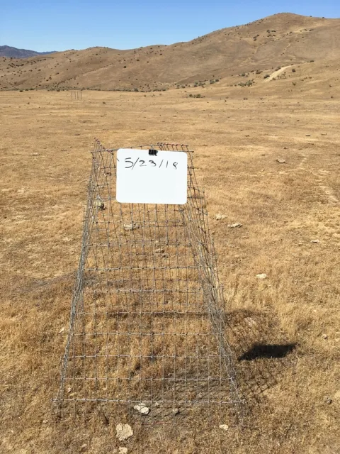 San Benito County site with very low forage production.